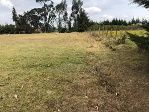 2acres Farmland in Naivasha