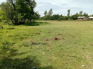 Land on Sale 0.25ha Direct Transfer