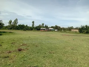 Land on Sale 0.25ha Direct Transfer