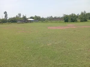 Land on Sale 0.25ha Direct Transfer