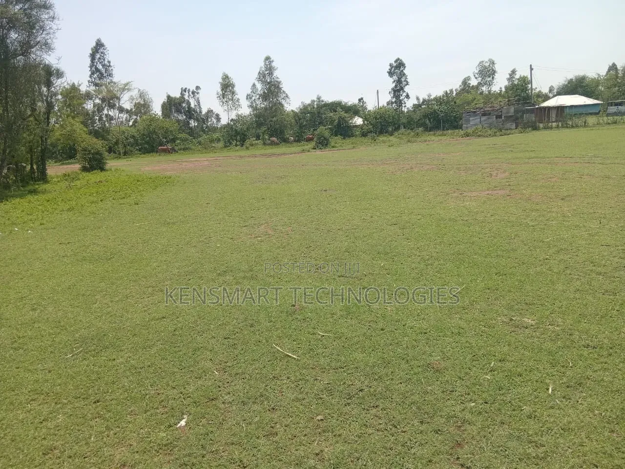 Land on Sale 0.25ha Direct Transfer
