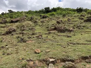 2acres on a Cliff in Olkalau Nyandarua County