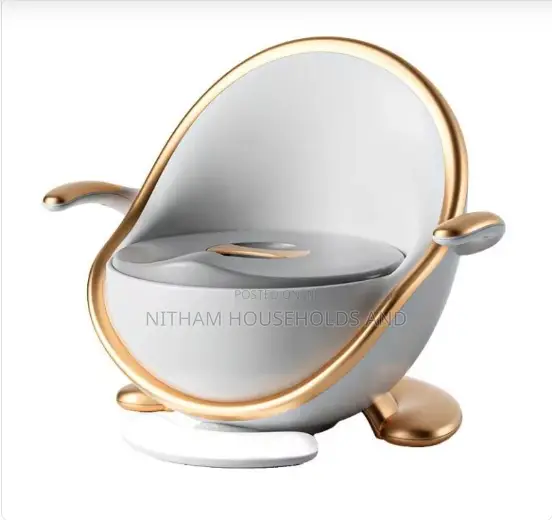 Luxury Potty Training Seat With Armrest