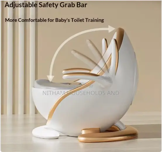 Luxury Potty Training Seat With Armrest