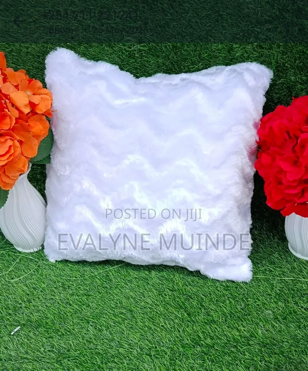 Throw Pillows and Pillow Cases