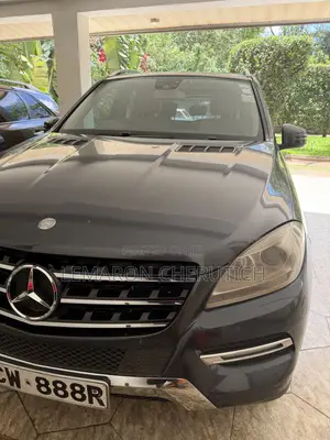 Mercedes-Benz M Class 2012 Blue
