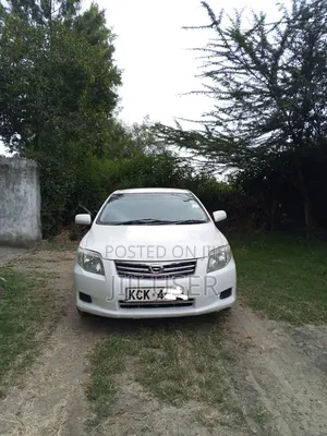 Toyota Axio 2009 Pearl