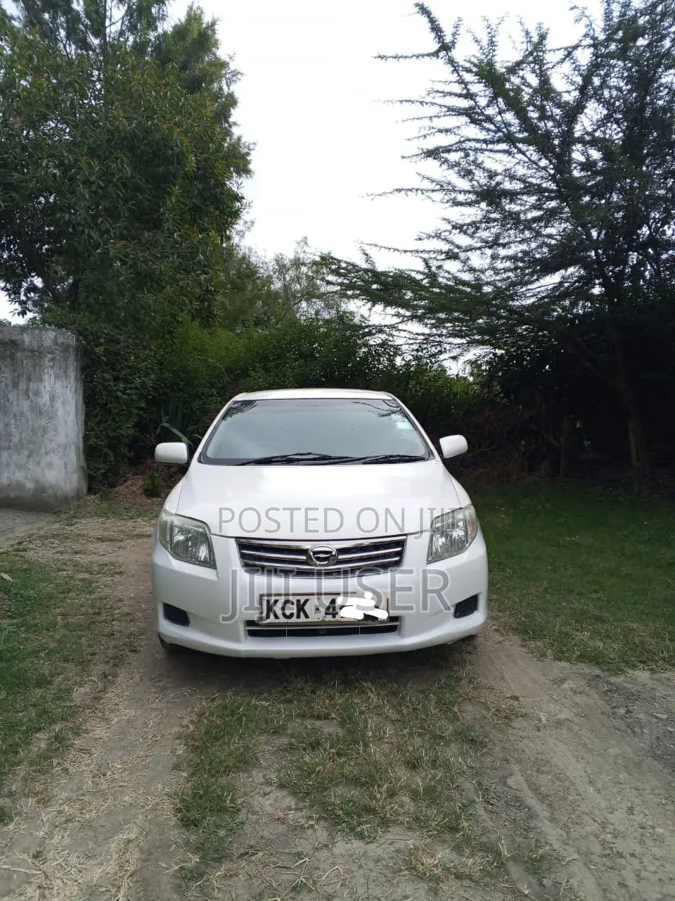 Toyota Axio 2009 Pearl