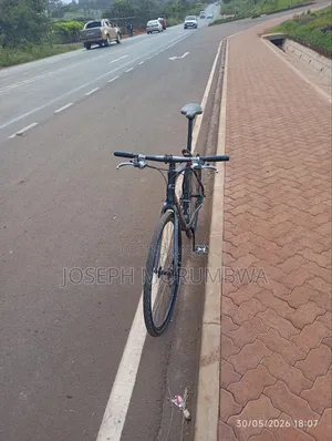 Hybrid Bike