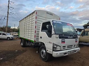 Clean Isuzu NPR