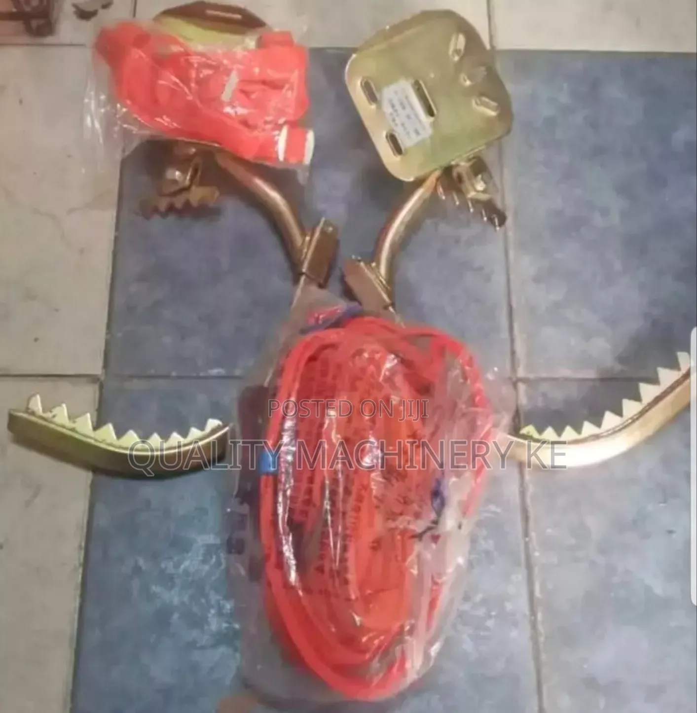 Comfortable Wood Climber With Safety Belt