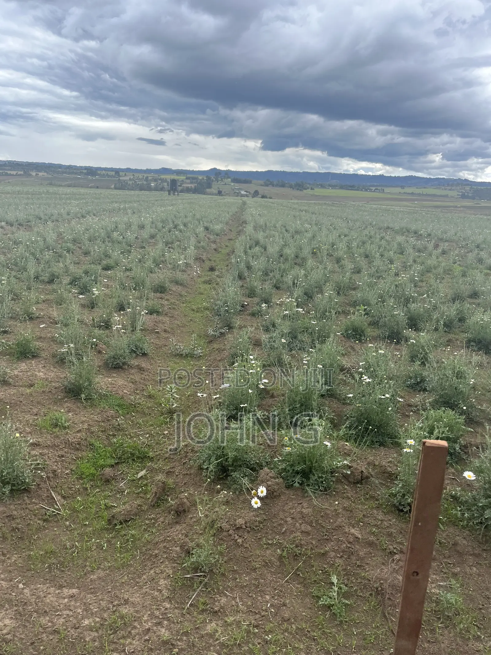 Acres Ol Kalau Kariamu 102