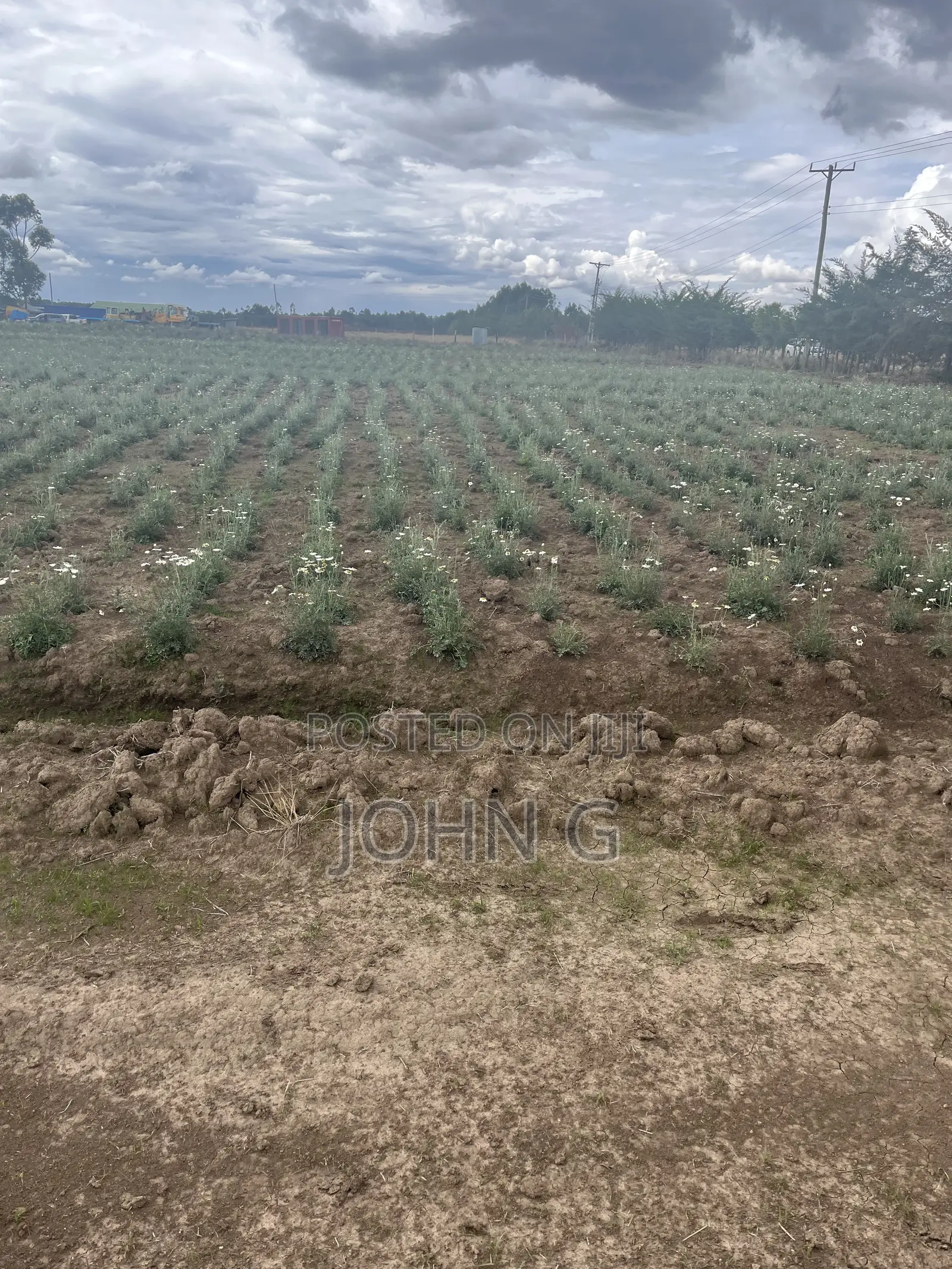 Acres Ol Kalau Kariamu 102