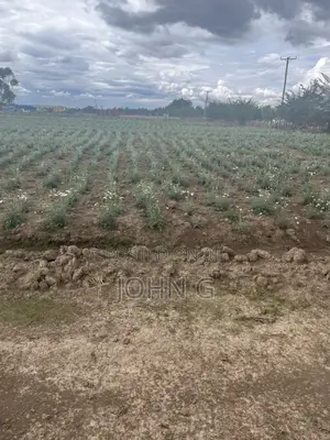 Acres Ol Kalau Kariamu 102