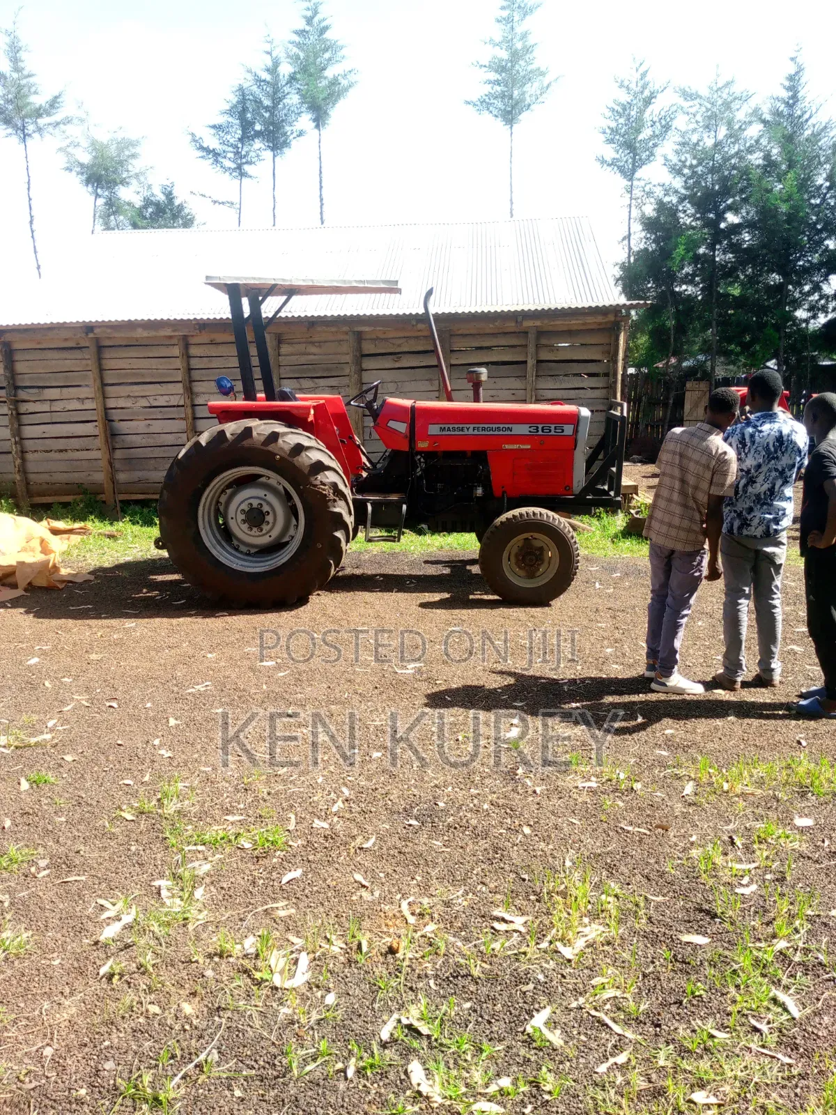 Massey Ferguson 365