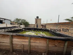 Land for 2–5 Year Lease Fully Developed Farm for Lease/Part–