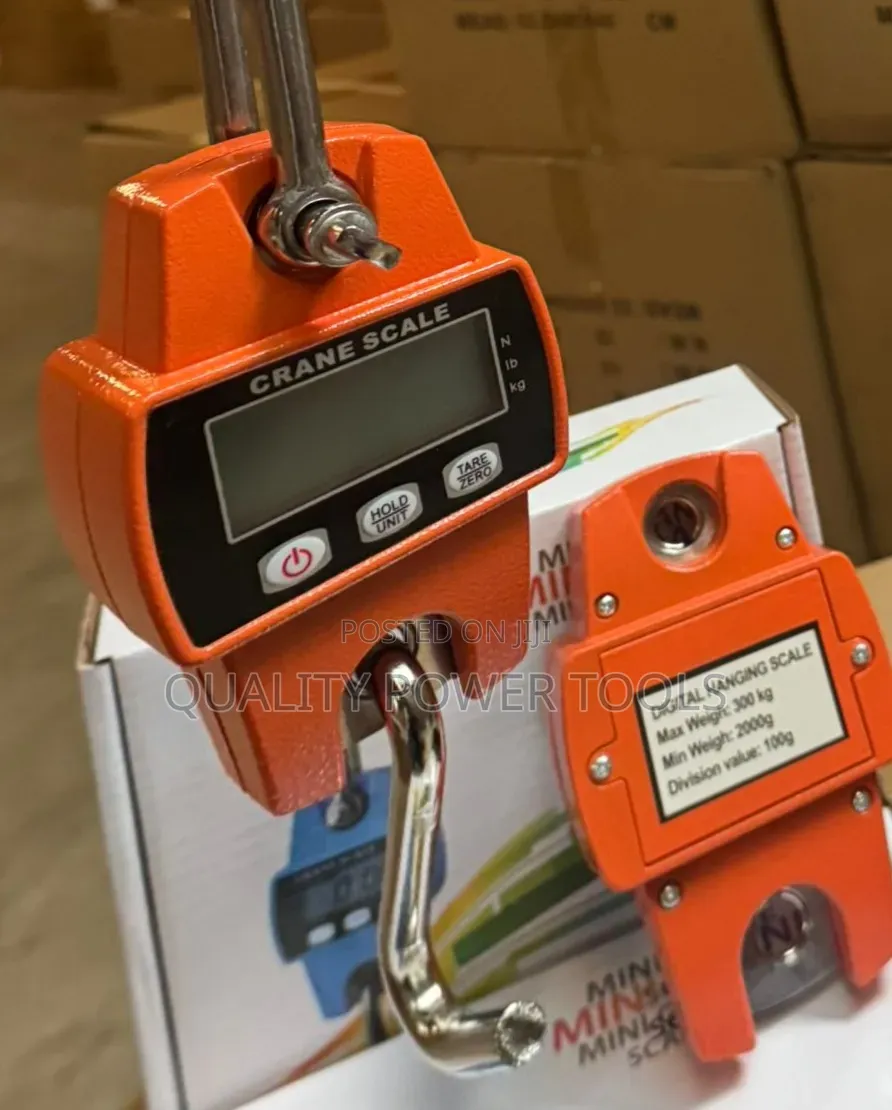 300kg Digital Crane Scale - Stainless Steel, Multicolor, LCD Display