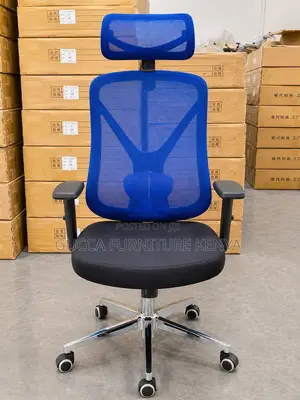 Mesh Ergonomic Home Chair.