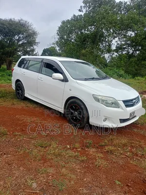 Toyota Corolla Fielder 2011 White