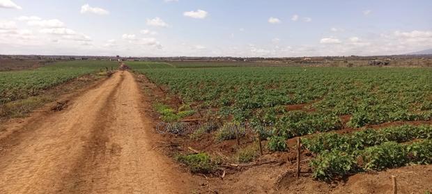 Foot of Mt. Kilimanjaro 150acres