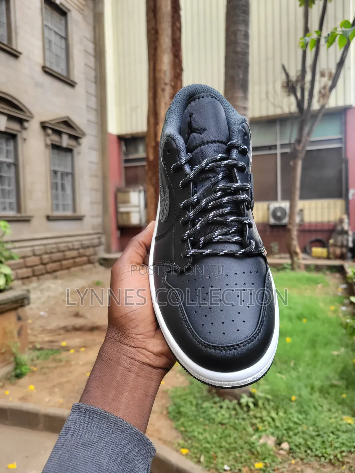 Jordan 1 Low Cut Sb Dunks