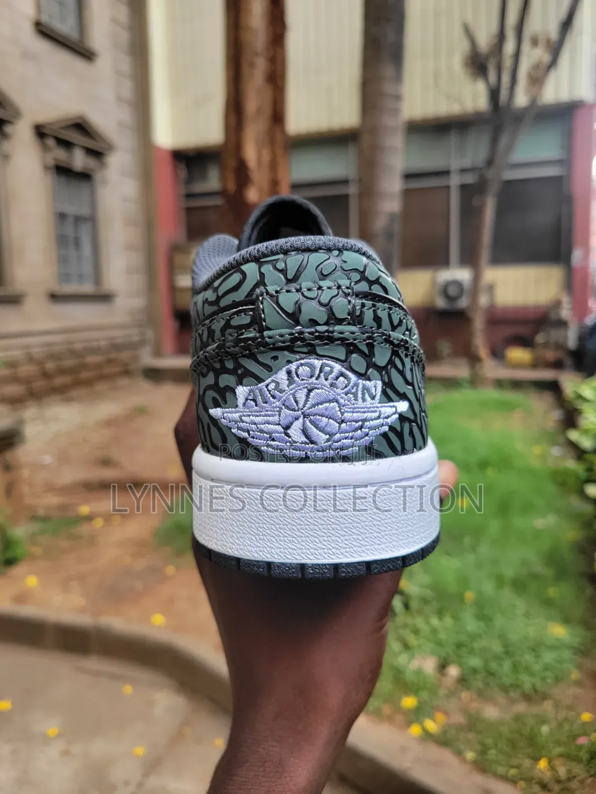 Jordan 1 Low Cut Sb Dunks