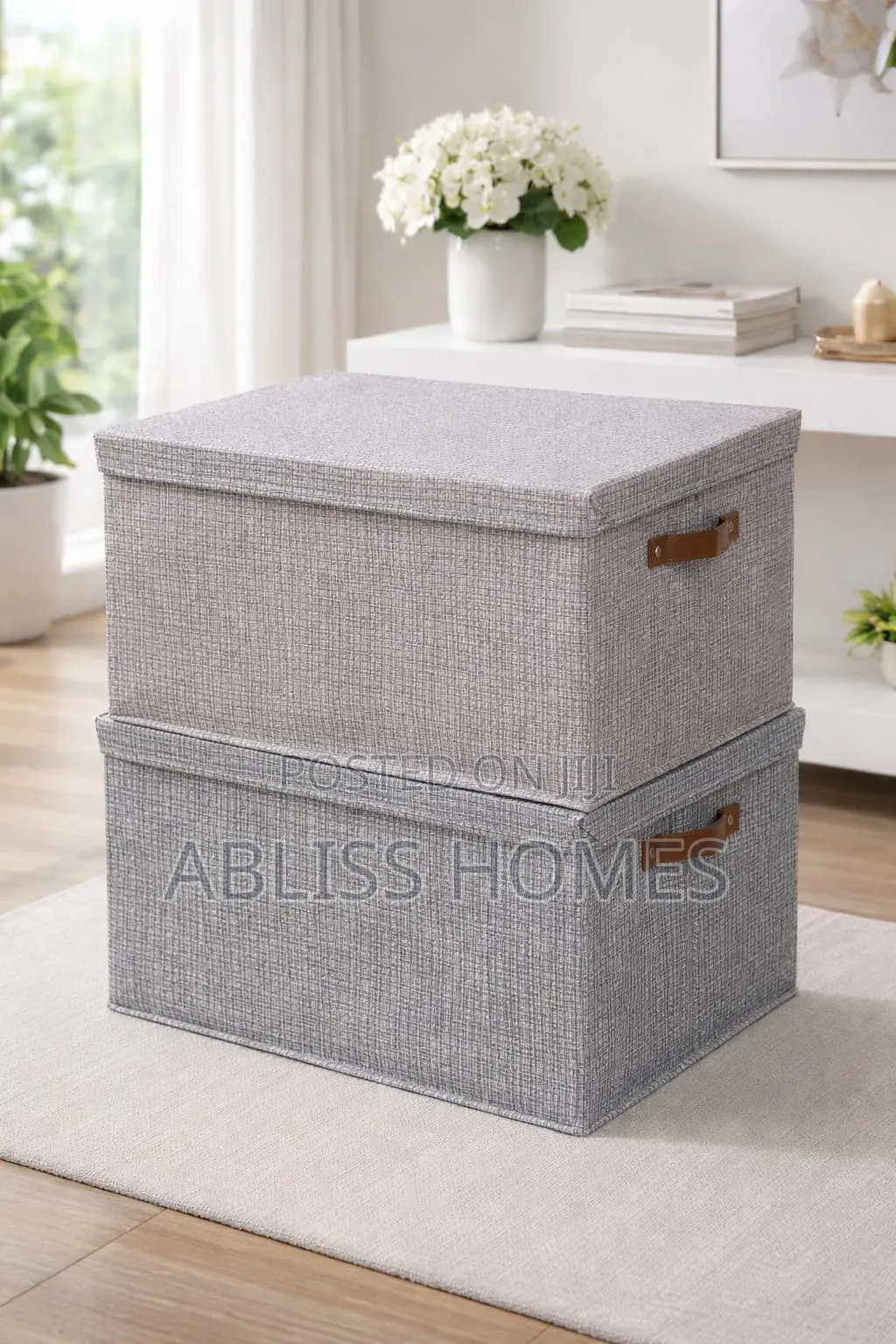 Foldable Storage Box With Lid (D)