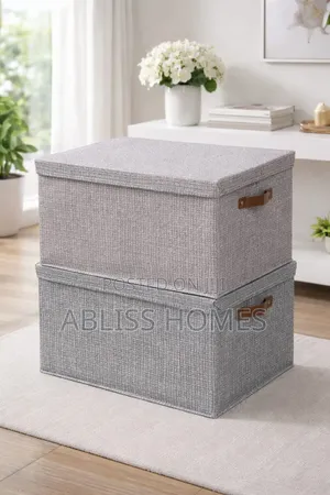 Foldable Storage Box With Lid (D)
