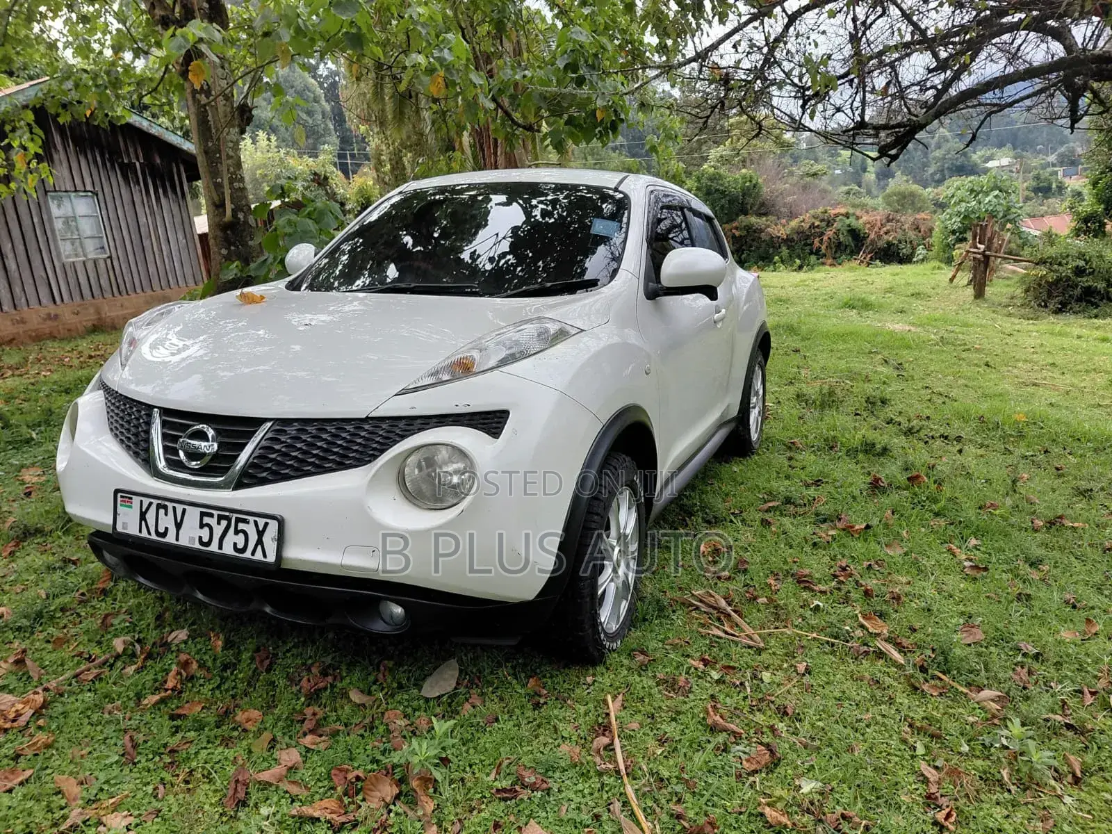 Nissan Juke 2012 White