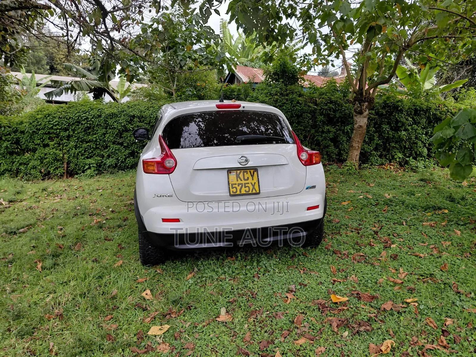 Nissan Juke 2012 White