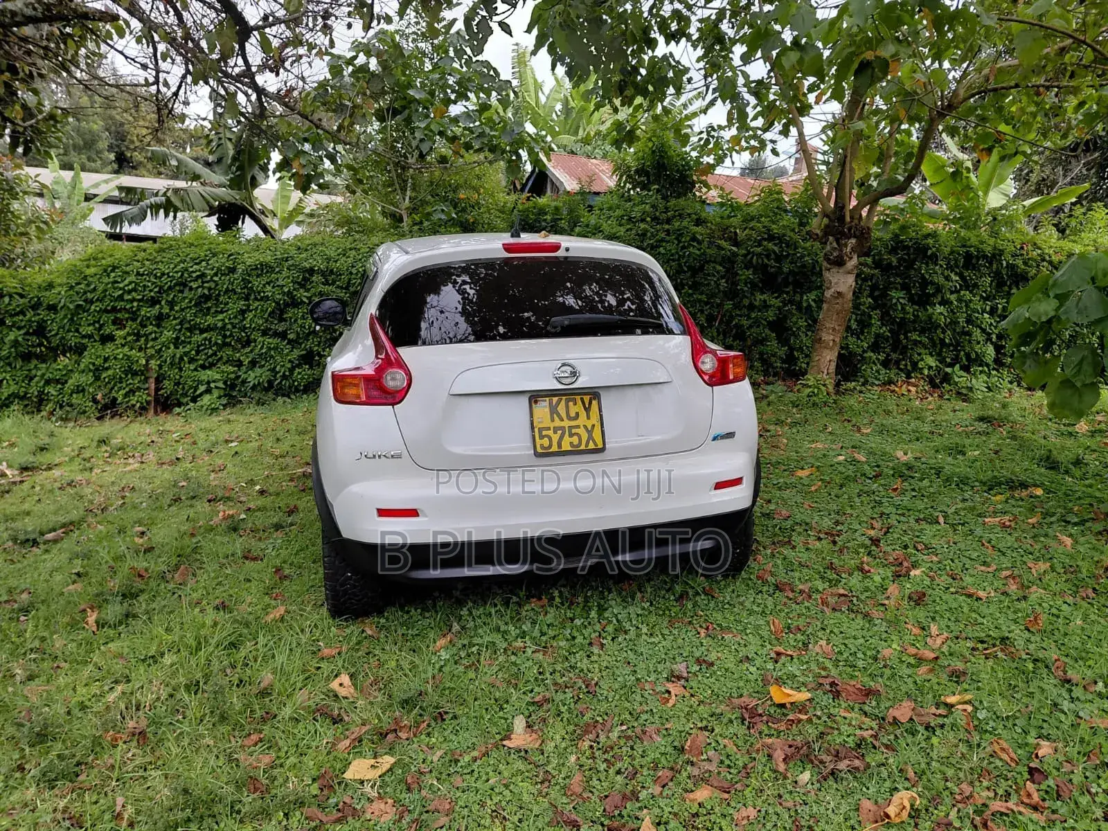 Nissan Juke 2012 White