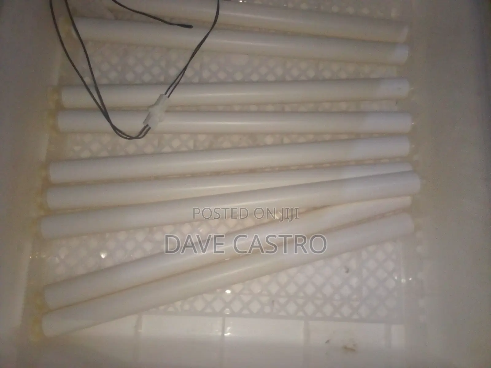 Egg Incubator