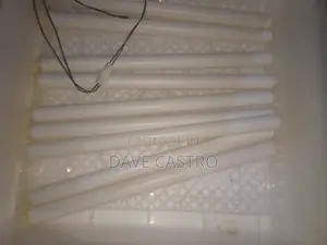 Egg Incubator