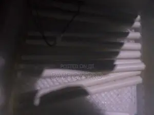 Egg Incubator