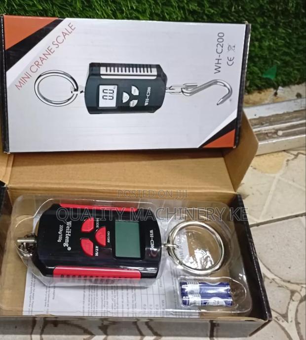 More Accurate Wh-C200 Crane/Hanging Scale