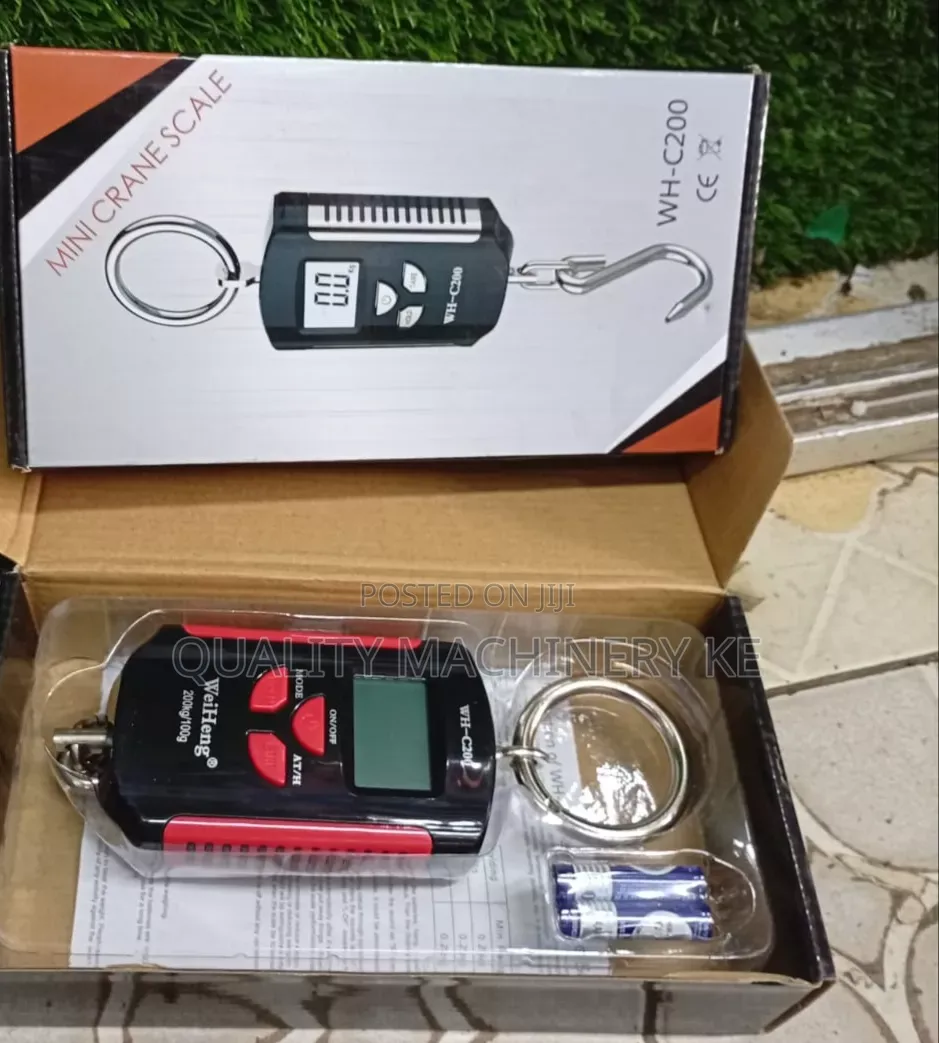 More Accurate Wh-C200 Crane/Hanging Scale
