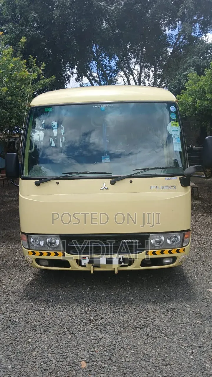 Mitsubishi Fuso Rosa 2014 Beige