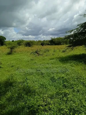 2.5 Acres for Sale With Ready Tittle Deed at Malindi Sosobora