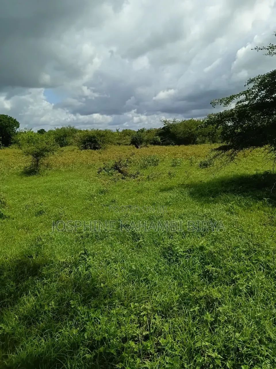 2.5 Acres for Sale With Ready Tittle Deed at Malindi Sosobora