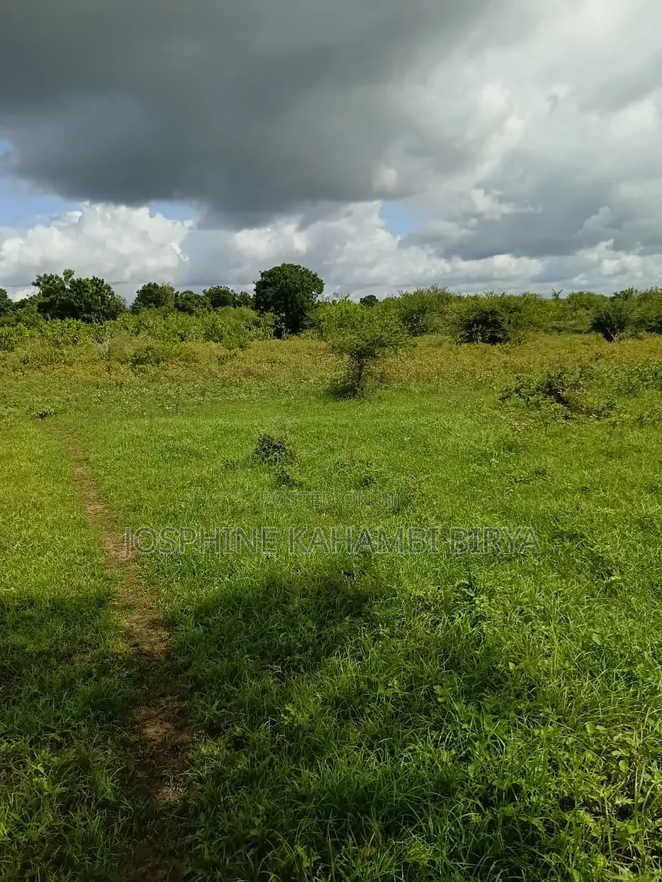 2.5 Acres for Sale With Ready Tittle Deed at Malindi Sosobora