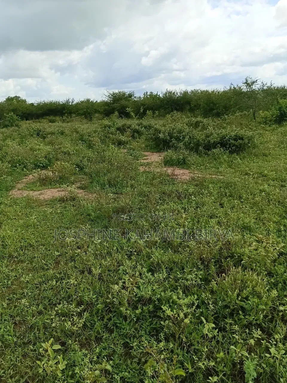 13 Acre for Sale With Ready Title Deed at Malindi Kakoneni Area