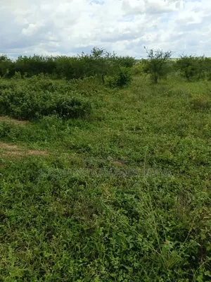 13 Acre for Sale With Ready Title Deed at Malindi Kakoneni Area