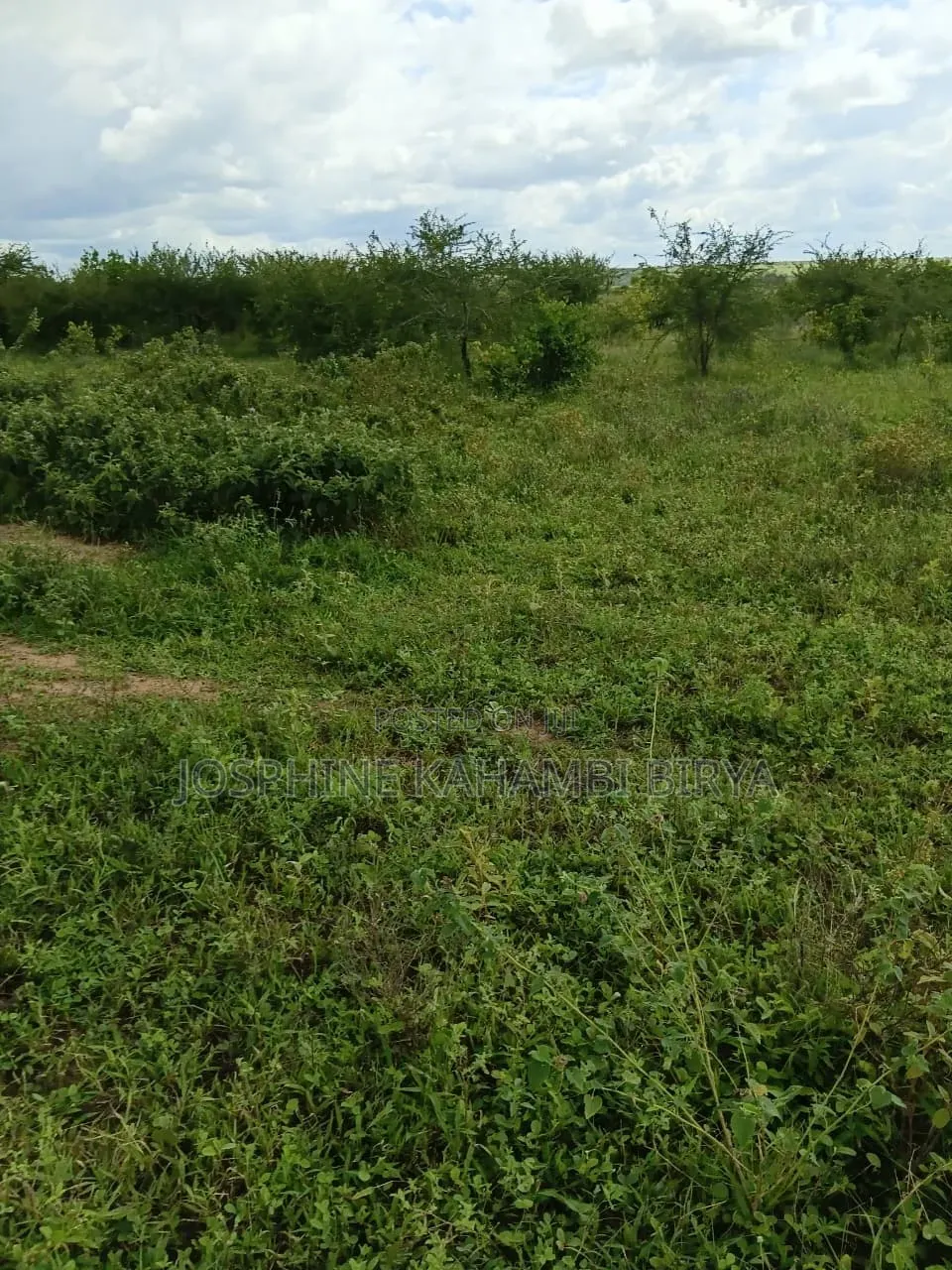 13 Acre for Sale With Ready Title Deed at Malindi Kakoneni Area