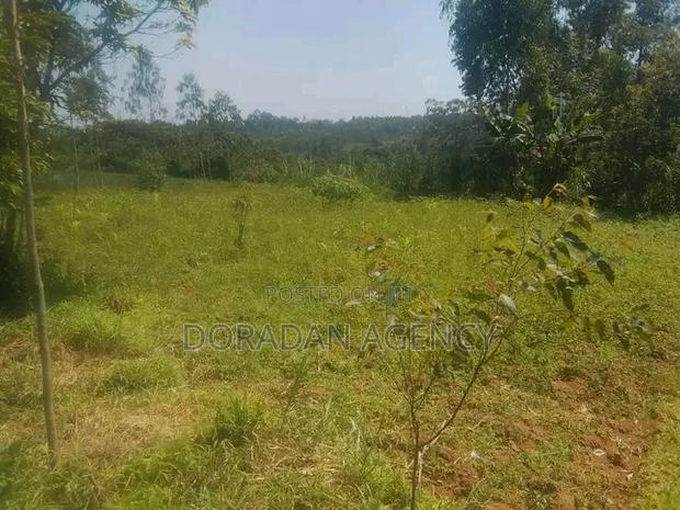 Prime Parcel of Land