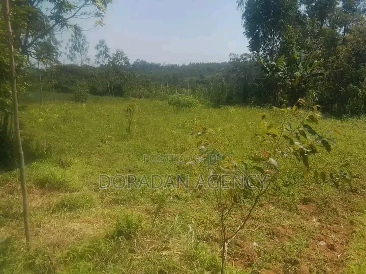 Prime Parcel of Land