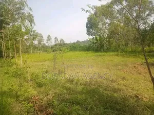 Prime Parcel of Land