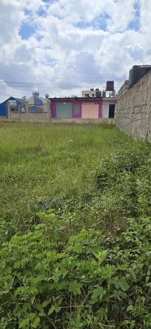 Karuguru Plots Are Scheduled for Sale.