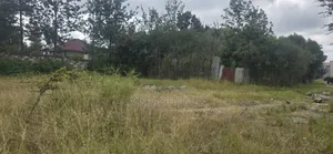 50x100ft Plots Are Available for Sale in Kamakis, Karuguru.
