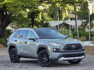 Toyota RAV4 2019 Gray