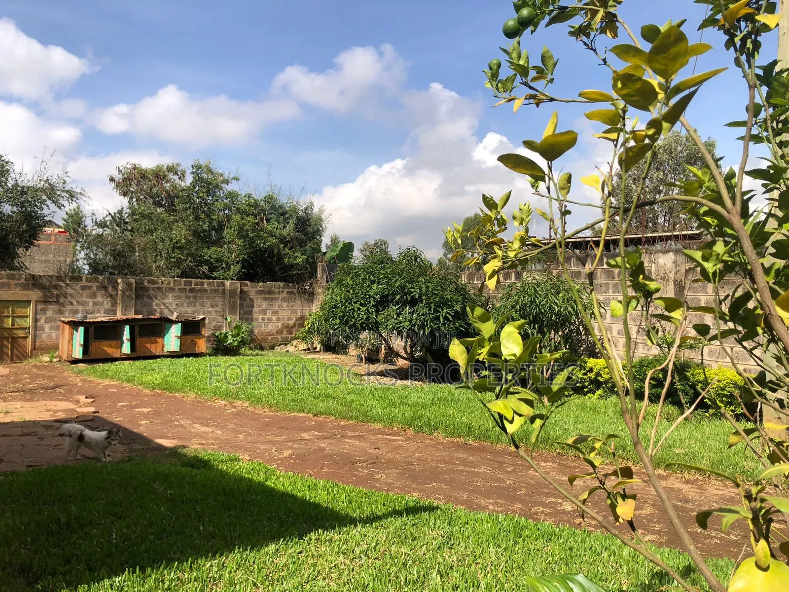 Eighth Acre Land for Sale in Kimbo.